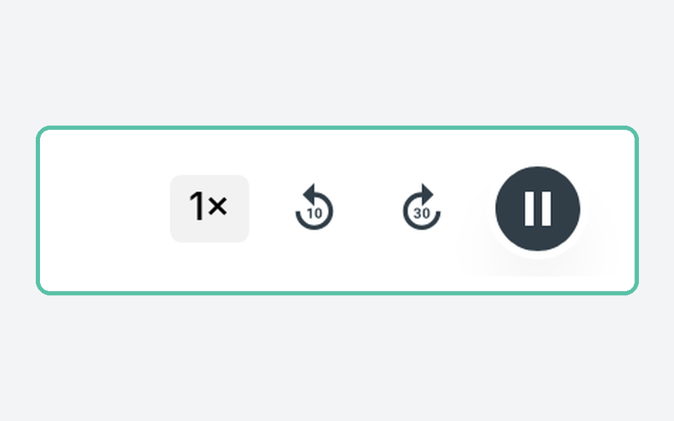 Player controls: speed, back 10, skip 30